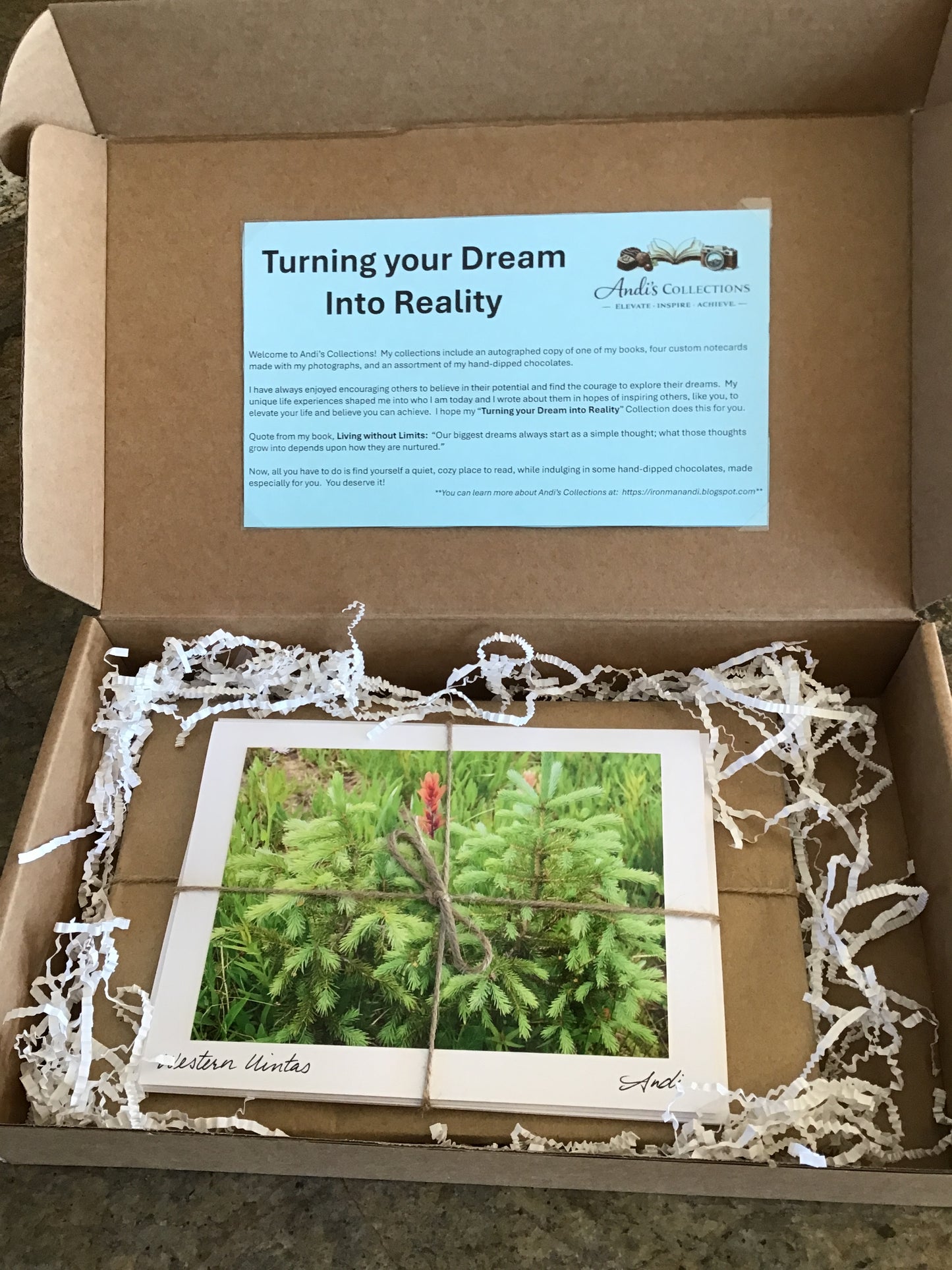 Turn Your Dream into Reality