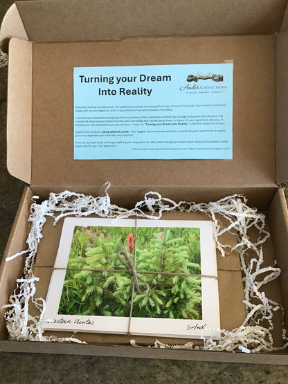 Turn Your Dream into Reality