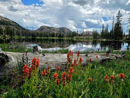 Photographic Notecards