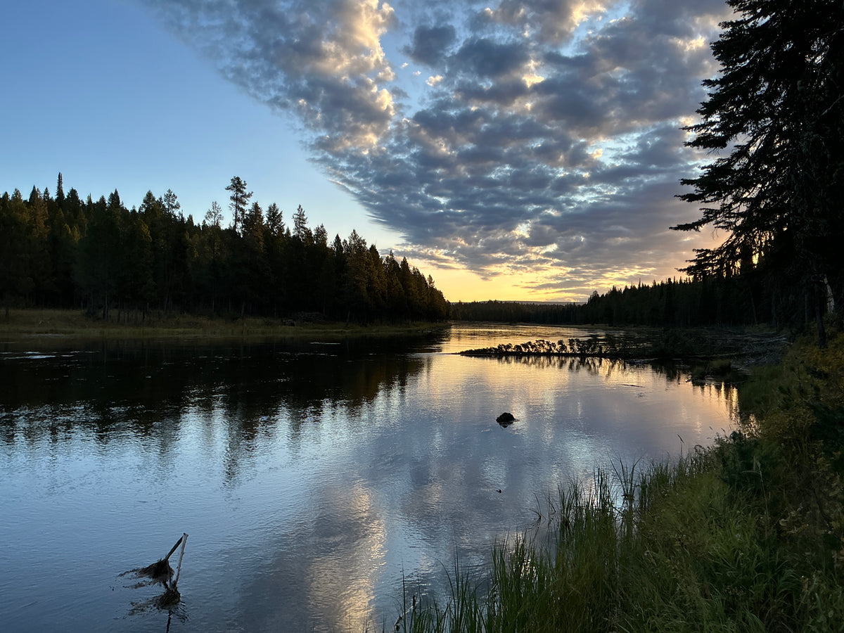 Photographic Notecards